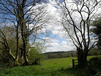 Hay Meadow Farm