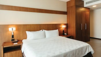 Holiday Inn Guayaquil Airport, An Ihg Hotel