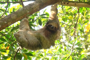 Eco Arenal Hotel