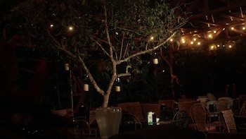 Eco Arenal Hotel