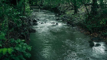 Eco Arenal Hotel