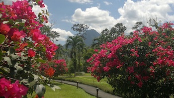 Eco Arenal Hotel