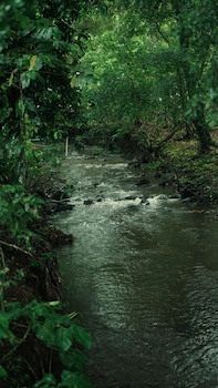 Eco Arenal Hotel