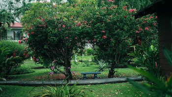 Eco Arenal Hotel