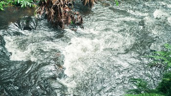 Eco Arenal Hotel