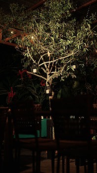 Eco Arenal Hotel