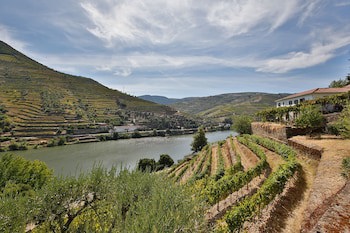 Quinta De La Rosa