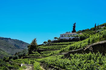 Quinta De La Rosa