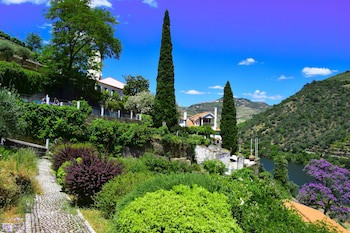 Quinta De La Rosa
