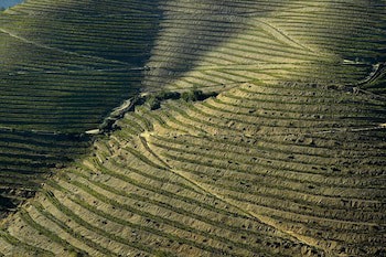 Quinta De La Rosa