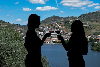 Quinta De La Rosa