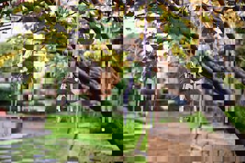 Imren Han Hotel - Special Class