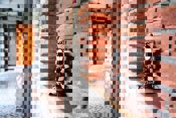 Imren Han Hotel - Special Class