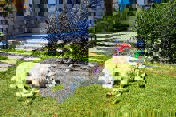 Alacati Sultan Konak Otel