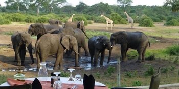 Elephant Valley Lodge