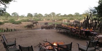 Elephant Valley Lodge