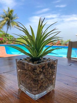 Hotel Mont Joli