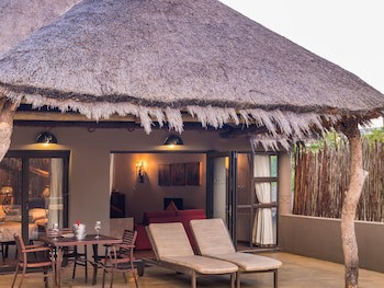 Ivory Tree Game Lodge