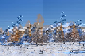 Kayakapi Premium Caves - Cappadocia