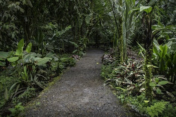 Casa Divina Eco Lodge