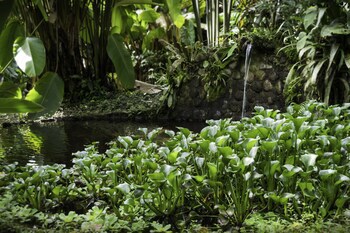 Casa Divina Eco Lodge