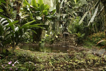 Casa Divina Eco Lodge