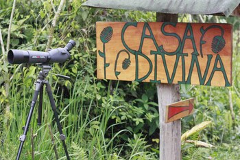 Casa Divina Eco Lodge
