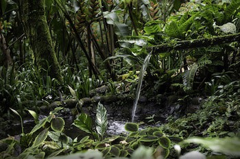 Casa Divina Eco Lodge