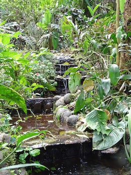 Casa Divina Eco Lodge