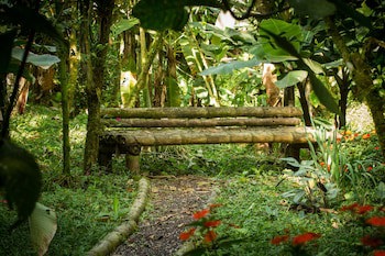 Casa Divina Eco Lodge