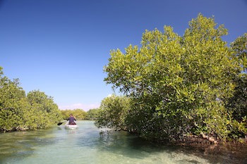 Coral Lodge Mozambique