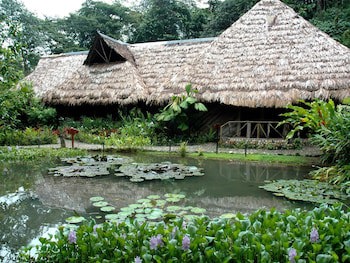 Esquinas Rainforest Lodge