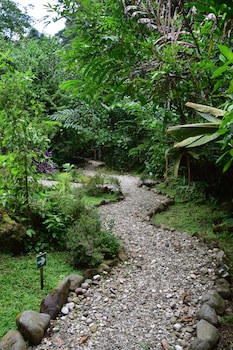 Esquinas Rainforest Lodge