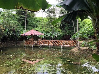 Esquinas Rainforest Lodge