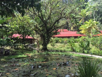Esquinas Rainforest Lodge