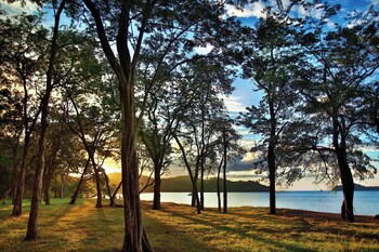 El Mangroove Papagayo, Autograph Collection