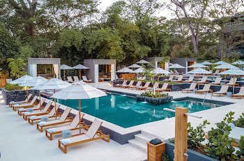 El Mangroove Papagayo, Autograph Collection