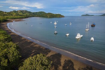 El Mangroove Papagayo, Autograph Collection