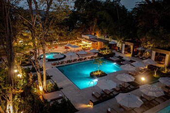 El Mangroove Papagayo, Autograph Collection