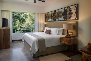 El Mangroove Papagayo, Autograph Collection