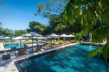 El Mangroove Papagayo, Autograph Collection