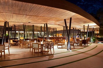 El Mangroove Papagayo, Autograph Collection