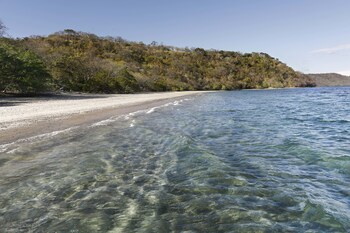 El Mangroove Papagayo, Autograph Collection
