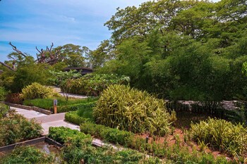 El Mangroove Papagayo, Autograph Collection