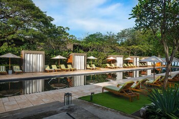 El Mangroove Papagayo, Autograph Collection