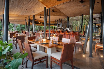 El Mangroove Papagayo, Autograph Collection