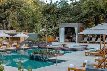El Mangroove Papagayo, Autograph Collection