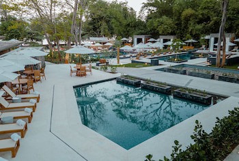 El Mangroove Papagayo, Autograph Collection