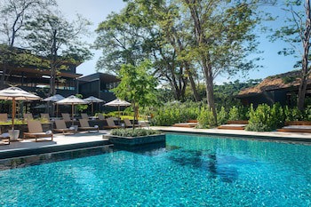 El Mangroove Papagayo, Autograph Collection