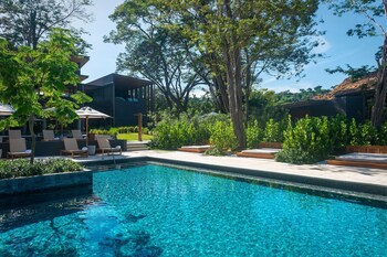 El Mangroove Papagayo, Autograph Collection